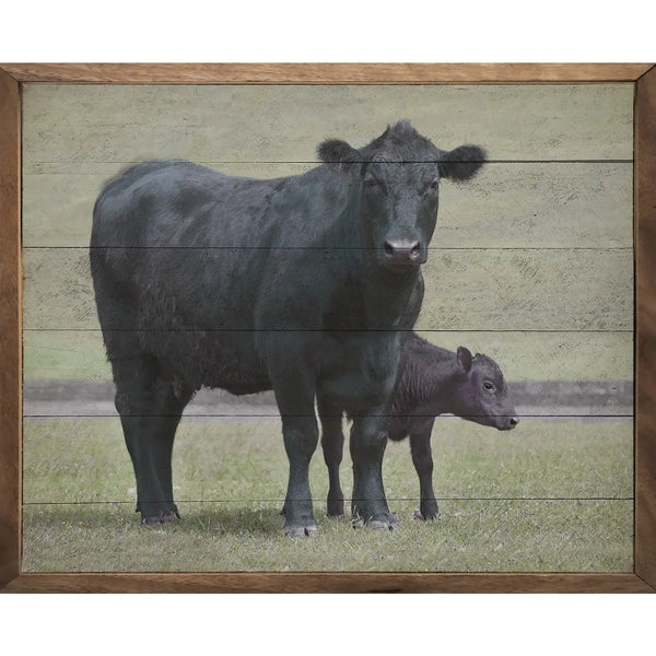 Angus Cows In Field