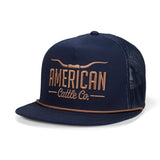 Longhorn Hat