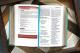 Nkjv, Teen Study Bible