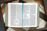 Nkjv, Teen Study Bible