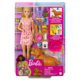 Barbie Doll and Pets Playset