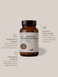 Gut + Digestive Probiotic Support | 60 Capsules