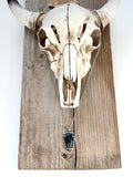 Western Style Arrowhead Turquoise Stone Pendant Necklace