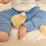 Baby cuffed organic pants | periwinkle blue