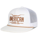 Longhorn Hat