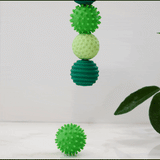 Signets Fidget Toy