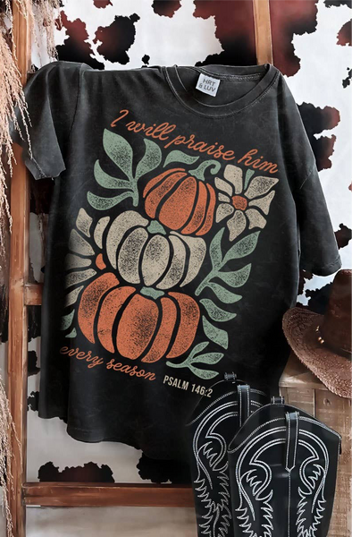 I WILL PRAISE HIM MINERAL GRAPHIC TEE