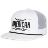 Longhorn Hat