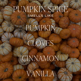 *NEW* Pumpkin Spice Hanging Air Freshener - Fall Decor