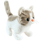 Westminster Cloud the Walking Kitten