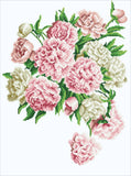 Carnation Bouquet