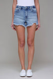 Medium Wash Frayed Stretch 3in Inseam Shorts