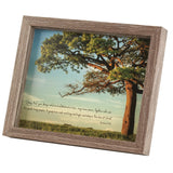 Framed Wall Keep Me Rooted Ephesians 3:17-18 Glass Wood