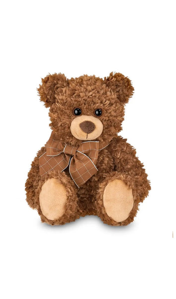 Reggie the Teddy Bear