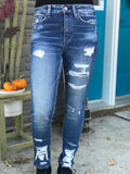 Vervet Haylie High Rise Skinny Jean