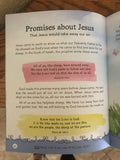 My Own Little Promise Bible